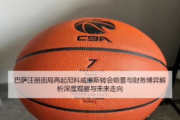 ba-sa-zhu-ce-kun-ju-zai-qi-ni-ke-wei-lian-si-zhuan-hui-qian-jing-yu-cai-wu-bo-yi-jie-xi-shen-du-guan-cha-yu-wei-lai-zou-2-406.jpg