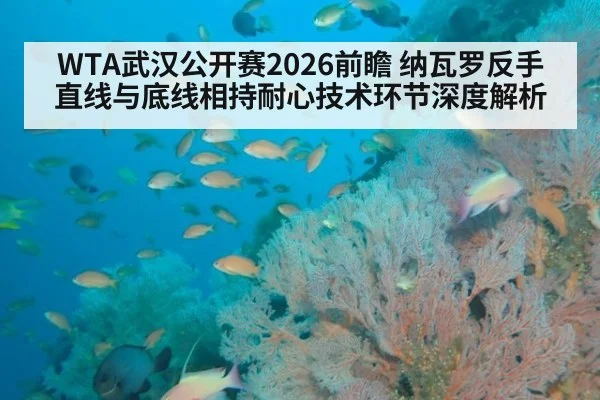 WTA武汉公开赛2026前瞻 纳瓦罗反手直线与底线相持耐心技术环节深度解析