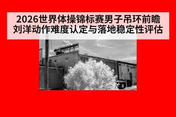 2026世界体操锦标赛男子吊环前瞻 刘洋动作难度认定与落地稳定性评估